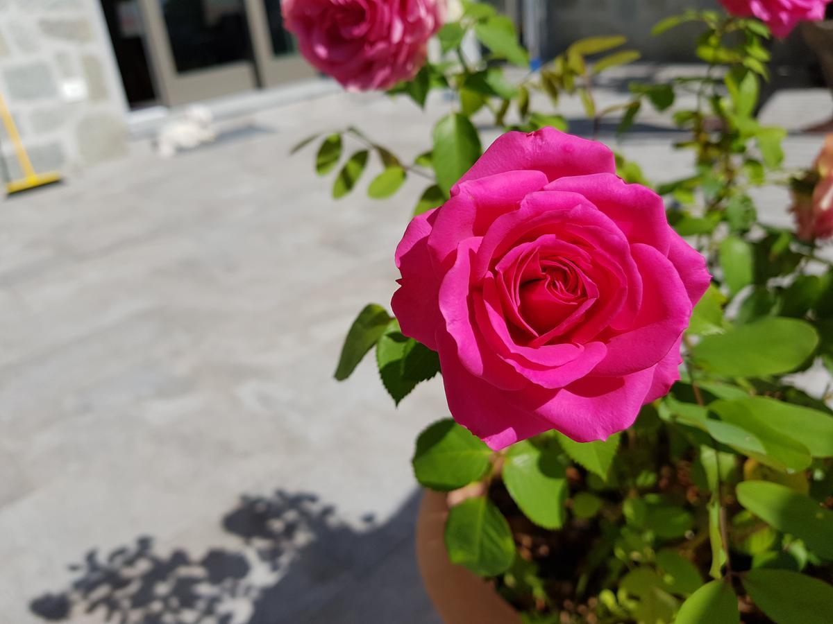 B&B Stella Maggiore 베르바니아 외부 사진